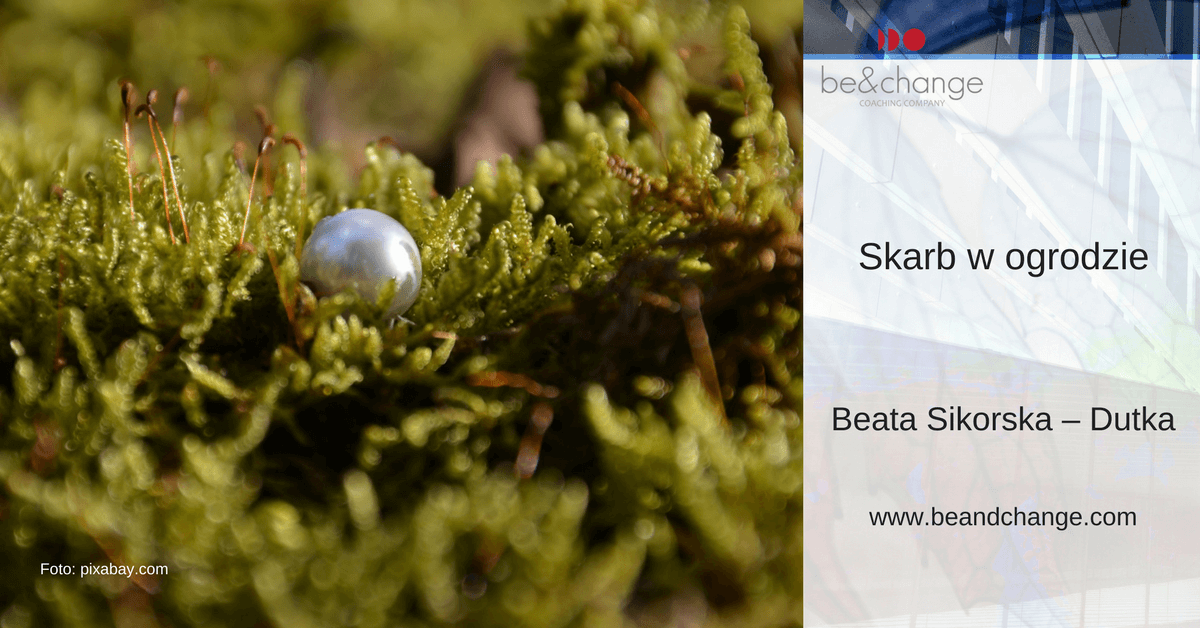 Skarb w ogrodzie